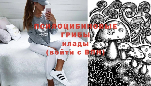 дмт Бугульма
