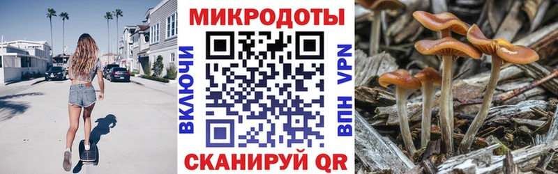 Галлюциногенные грибы Cubensis hydra ссылки Ростов
